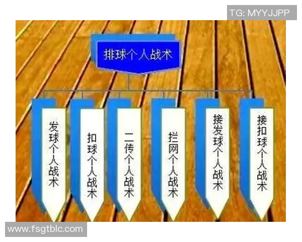 广州排球队配合细节解析与战术对比全面分析